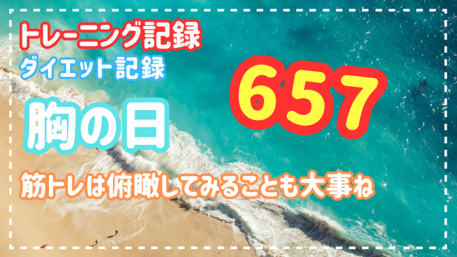 筋トレは俯瞰してみることも大事ね【ダイエット・トレーニング記録】